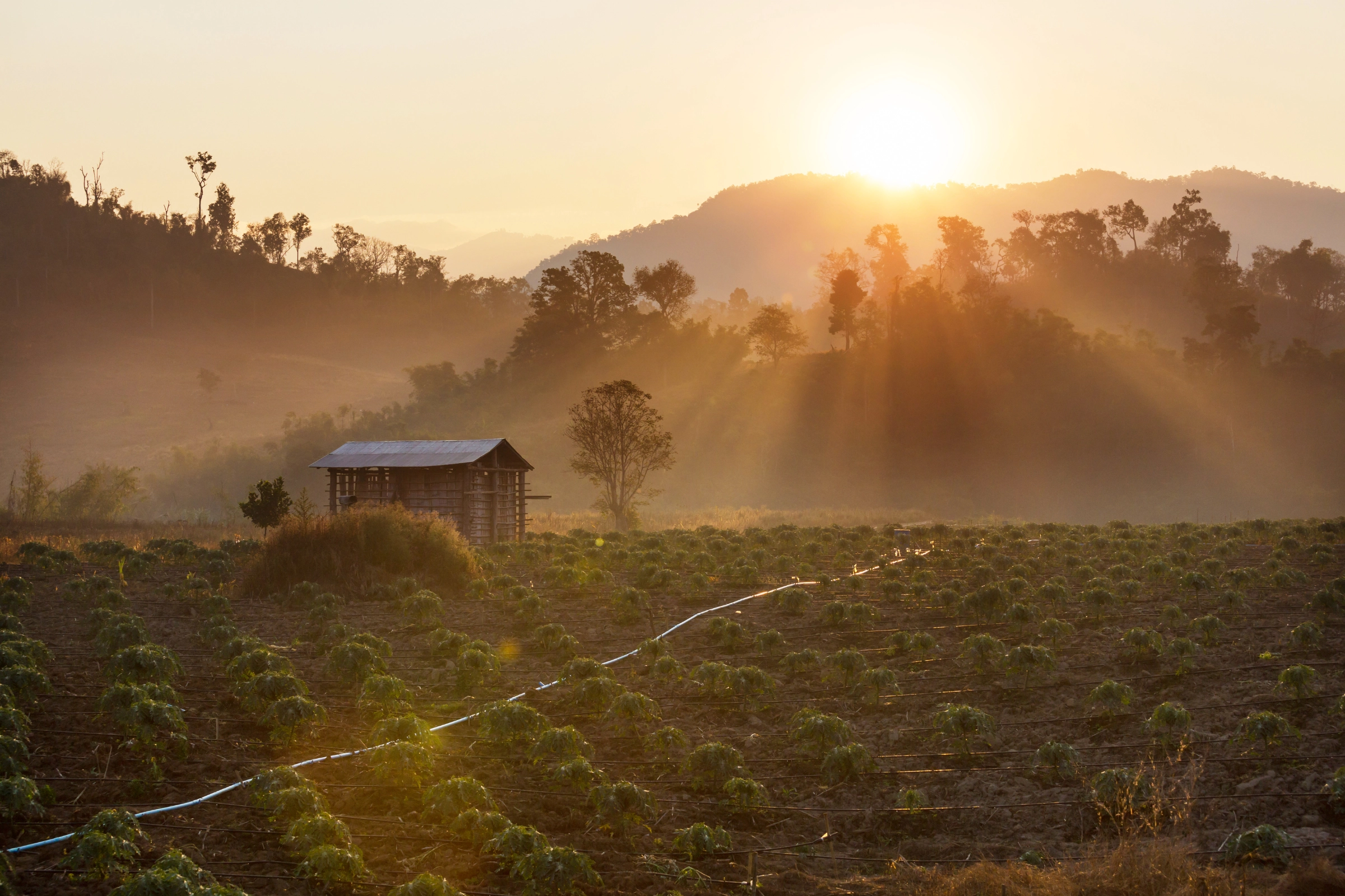 Northern Thailand