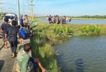 Intoxicated noodle vendor drowns in Samut Prakan shellfish pond