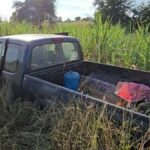 Missing father found dead in sugarcane field in Khon Kaen | Thaiger