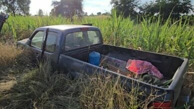 Missing father found dead in sugarcane field in Khon Kaen