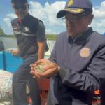 Fisheries department seize 200k baht shellfish in smuggling bust | Thaiger