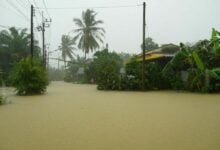 Phatthalung declared disaster zone amid severe flooding