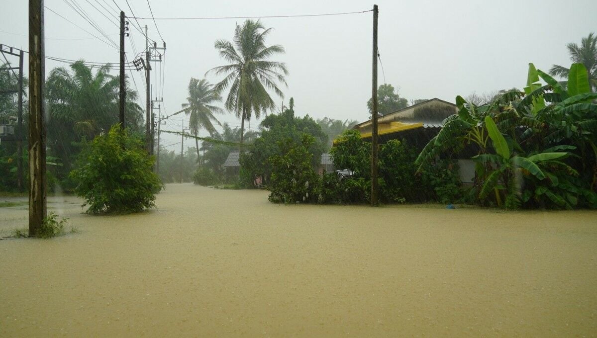 Phatthalung declared disaster zone amid severe flooding