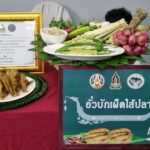 Floating flavours: Uttaradit spiced up with ancient dish, raft parade | Thaiger