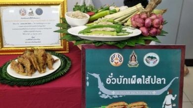 Floating flavours: Uttaradit spiced up with ancient dish, raft parade