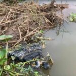 Buddha statue found floating in Thai river sparks local curiosity | Thaiger