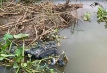 Buddha statue found floating in Thai river sparks local curiosity