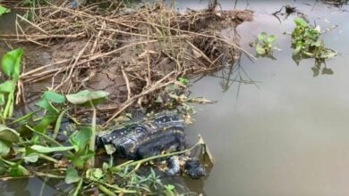 Buddha statue found floating in Thai river sparks local curiosity