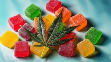 What are CBD gummies and should I take them?