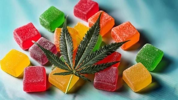 What are CBD gummies and should I take them?