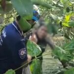 Indonesian woman abandoned in Thai mangrove forest by German friend | Thaiger