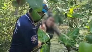 Indonesian woman abandoned in Thai mangrove forest by German friend