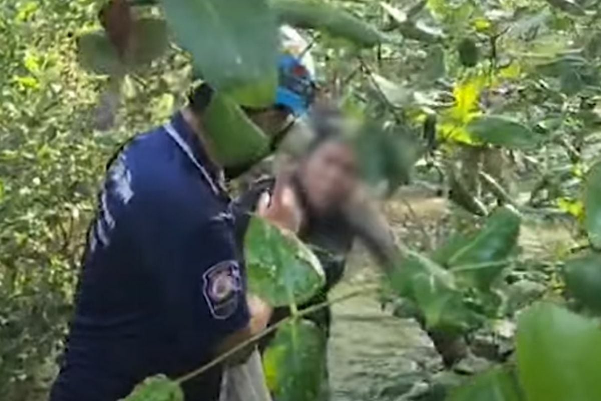 Indonesian woman abandoned in Thai mangrove forest by German friend