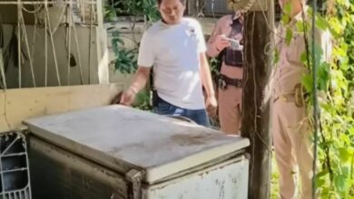 Bone-chilling discovery: Thai couple ‘dig up’ mystery in old freezer at abandoned farm