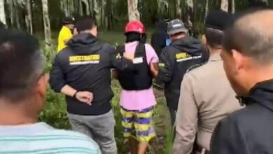 Drug-addicted Thai man murders former employer in plantation