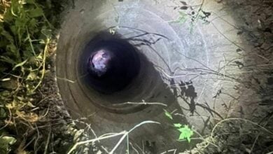 Thai soldiers save stranded Chinese man from watery trap (video)