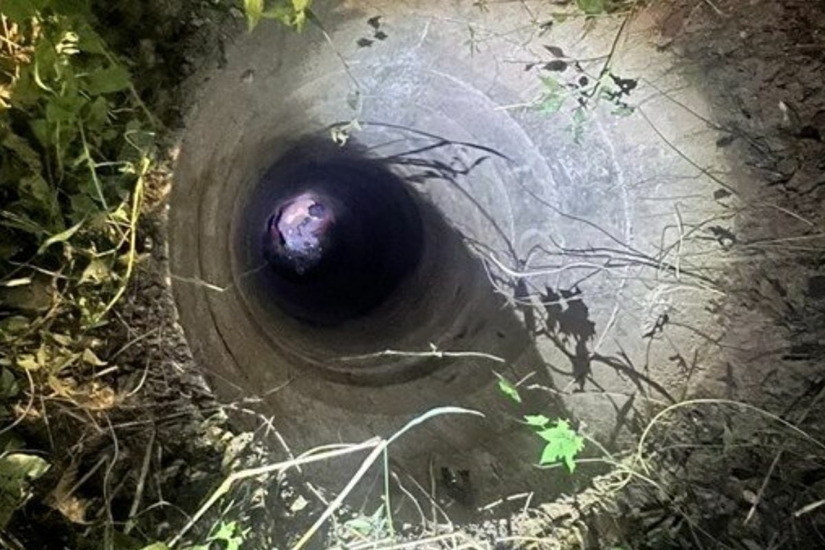 Thai soldiers save stranded Chinese man from watery trap (video)