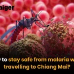 How to stay safe from malaria when travelling to Chiang Mai? | Thaiger