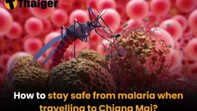 How to stay safe from malaria when travelling to Chiang Mai? | Thaiger