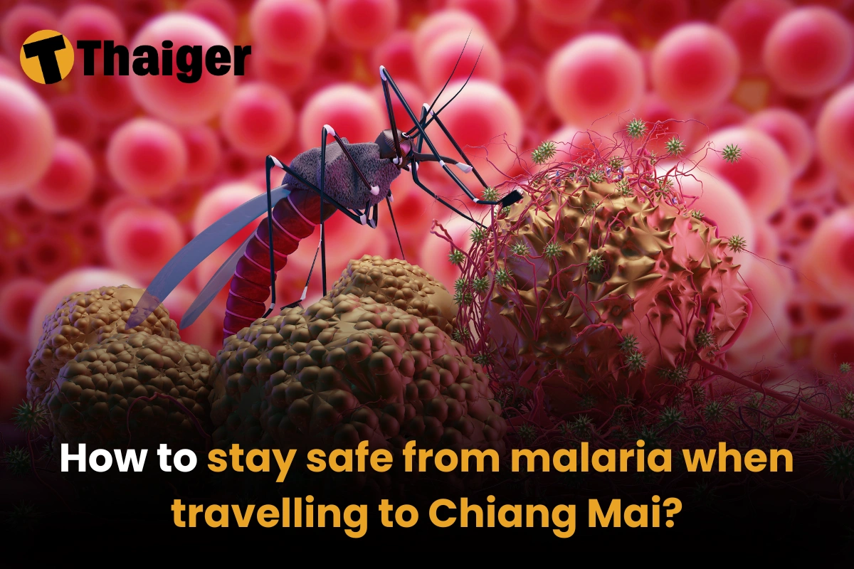 How to stay safe from malaria when travelling to Chiang Mai?