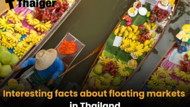 10 interesting facts about the floating markets in Thailand | Thaiger