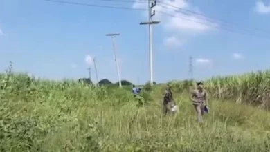 Young man electrocuted stealing cables in Kanchanaburi field