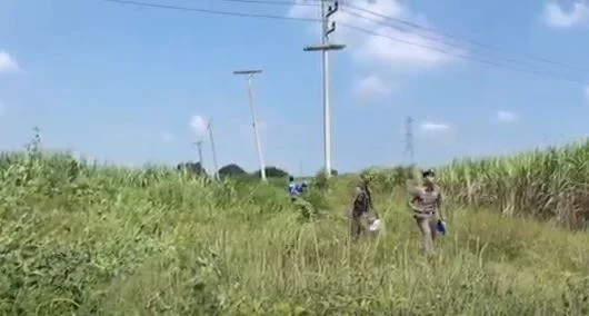 Young man electrocuted stealing cables in Kanchanaburi field