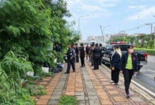 Pattaya police detain 11 homeless individuals causing disturbances