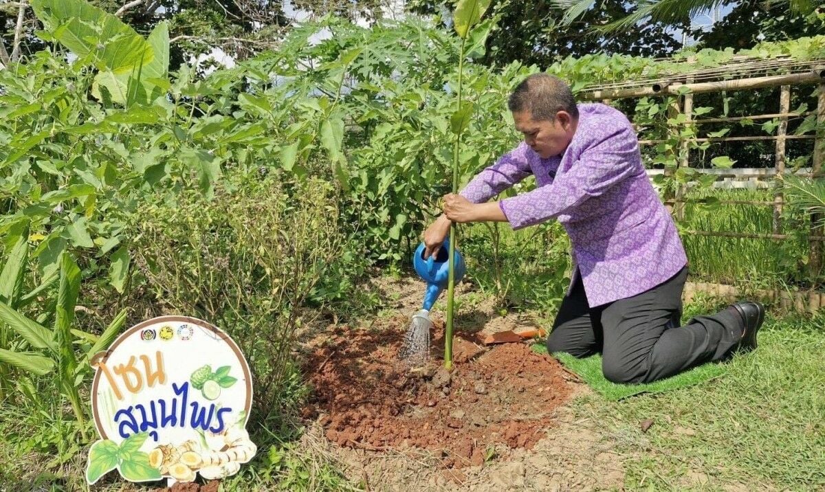 Phanom district grows kitchen gardens for food security boost