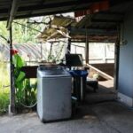 Chiang Mai: Free rent for grabs in exchange for taming neighbour | Thaiger