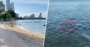 Foreign man found dead in Pattaya waters sparks investigation