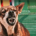 Rabies scare in Bangkok: Residents warned to avoid Soi Onnut 86 | Thaiger