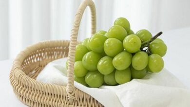 Thai FDA clears 6.9-tonne Shine Muscat grapes for safety