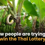 10 ways people have tried to win the Thai Lottery | Thaiger