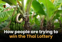 10 ways people have tried to win the Thai Lottery