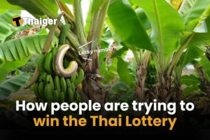 10 ways people have tried to win the Thai Lottery