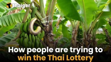 10 ways people have tried to win the Thai Lottery