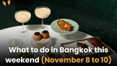 What to do in Bangkok this weekend (November 8 to 10)