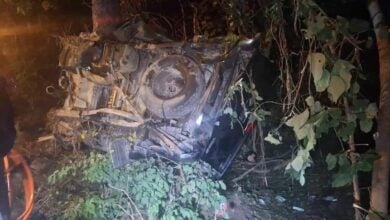 Tree smash: Pickup truck crash claims 4 lives in Uthai Thani