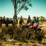 Sheep thrills: Fake farm job scams target Australian job seekers