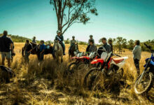 Sheep thrills: Fake farm job scams target Australian job seekers