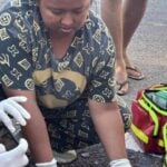 Elderly man survives savage bear encounter in Khao Yai Park | Thaiger