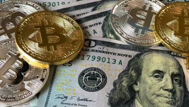 Bitcoin hits record high after Trump’s US presidential victory