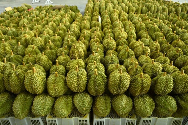 Thailand launches digital durian initiative to boost productivity