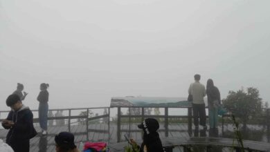 Tourists flock to Doi Inthanon as mercury plunges to record low