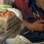 Teenager&#8217;s egg theft ends with compassion in Trat | Thaiger