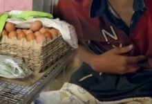 Teenager’s egg theft ends with compassion in Trat