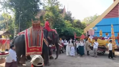 Elephant rampage at charity event in Bueng Kan kills woman