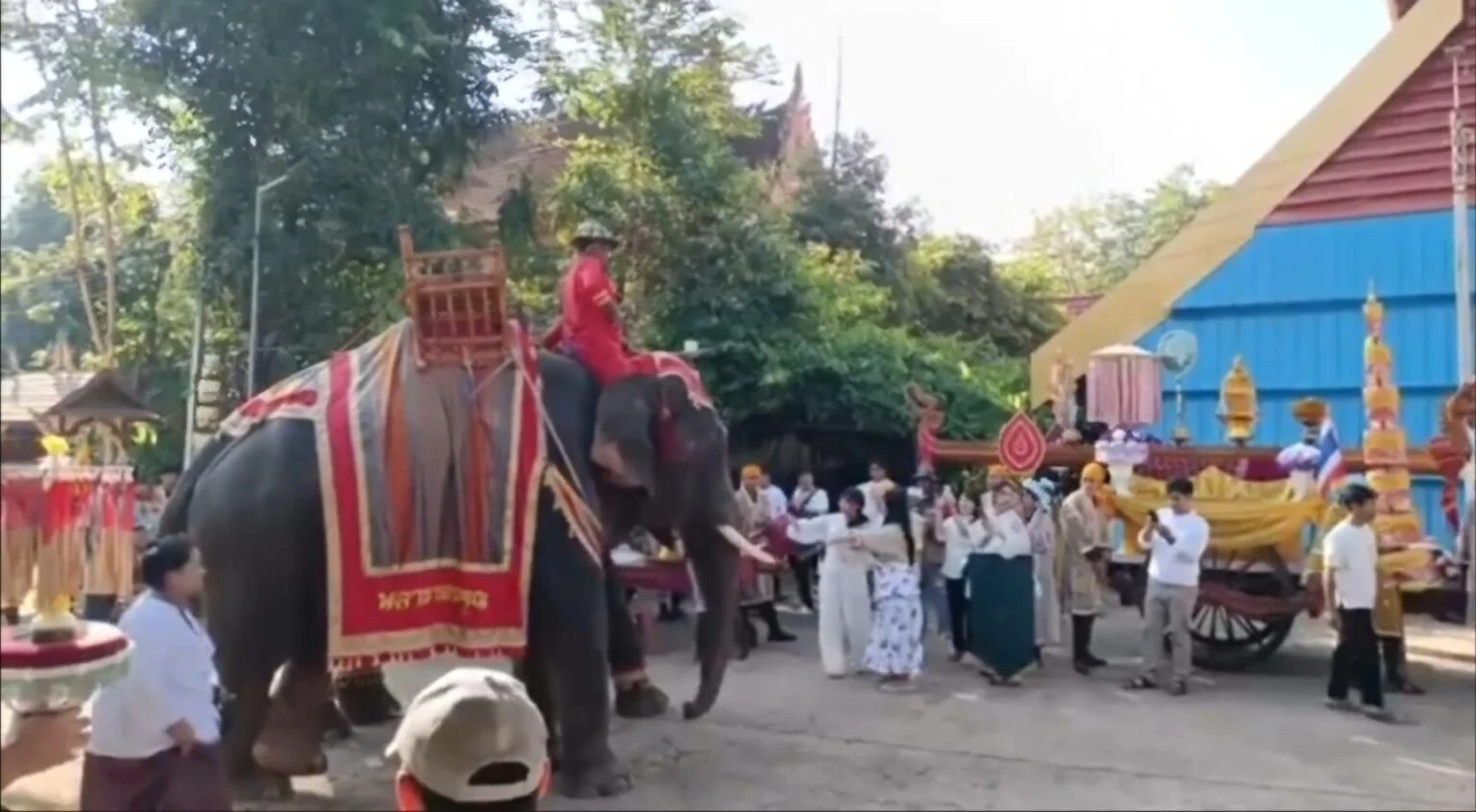 Elephant rampage at charity event in Bueng Kan kills woman