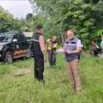 Thai Rice farmer&#8217;s tragic death highlights health risks in agriculture | Thaiger